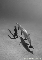Freediving with friends by Becky Kagan 